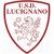logo Lucignano